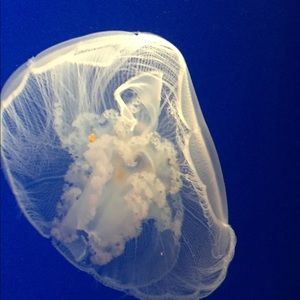 Meet your Posher, Caterina